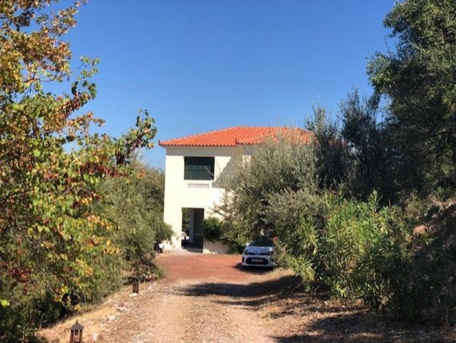 Kyparissia De Wandelboom Βίλα Vrises  Εξωτερικό φωτογραφία