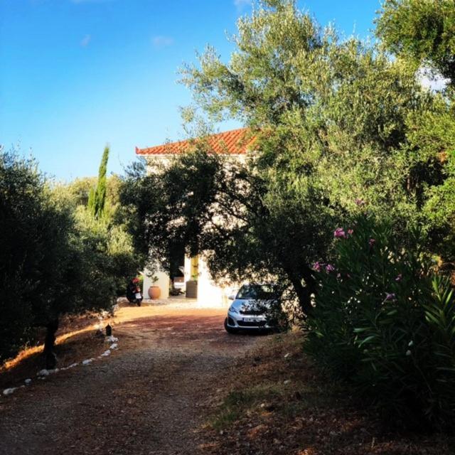 Kyparissia De Wandelboom Βίλα Vrises  Εξωτερικό φωτογραφία