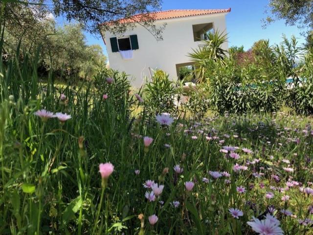Kyparissia De Wandelboom Βίλα Vrises  Εξωτερικό φωτογραφία