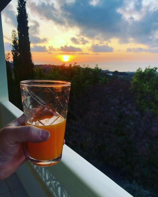 Kyparissia De Wandelboom Βίλα Vrises  Εξωτερικό φωτογραφία