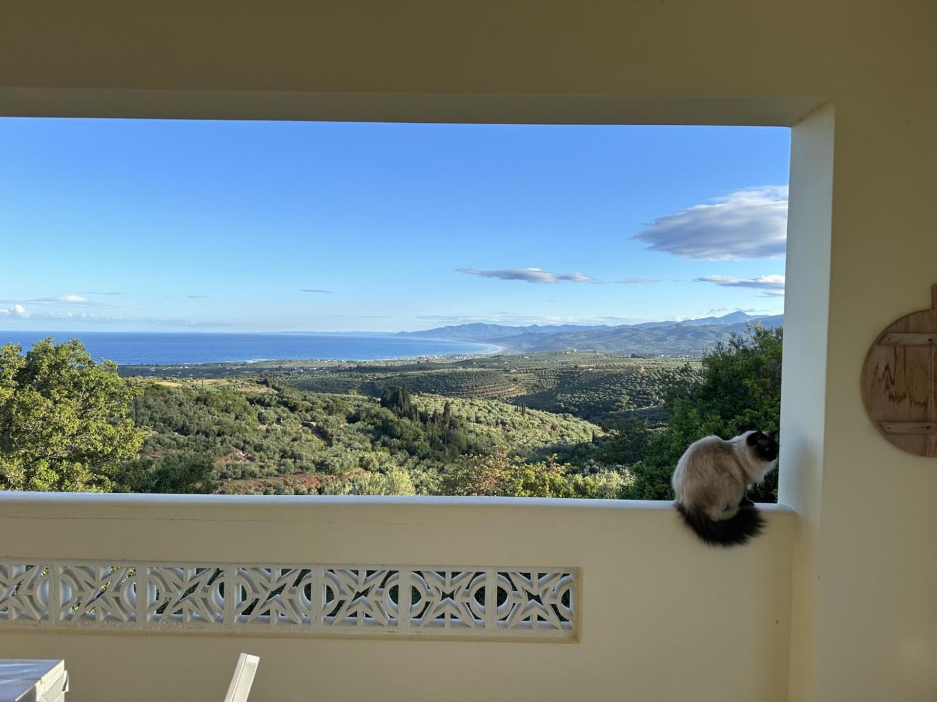 Kyparissia De Wandelboom Βίλα Vrises  Εξωτερικό φωτογραφία