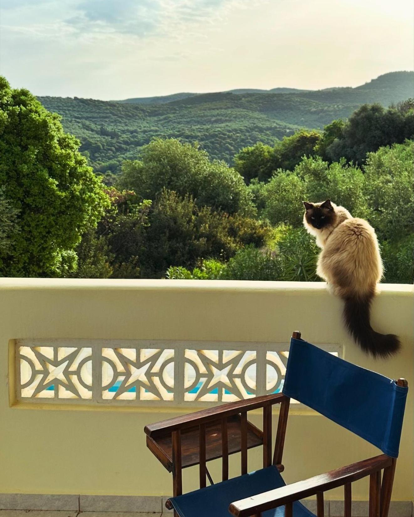 Kyparissia De Wandelboom Βίλα Vrises  Εξωτερικό φωτογραφία
